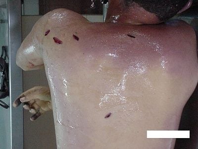 imagen-245.jpg