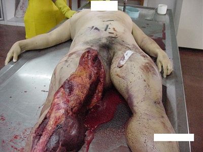imagen-247.jpg