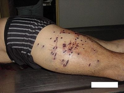 imagen-264.jpg