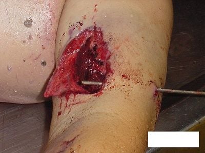 imagen-268.jpg