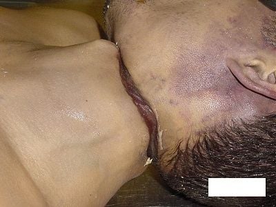 imagen-223.jpg