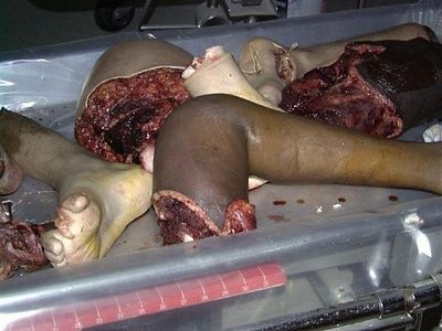 festered_dahmer_lunchbox001.jpg