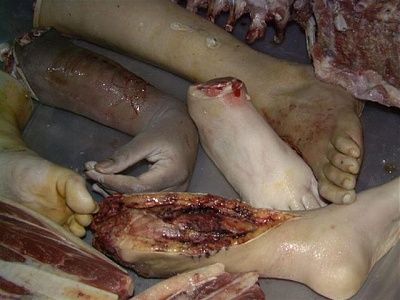 festered_dahmer_lunchbox003.jpg