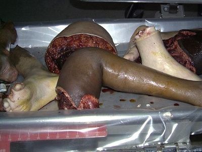 festered_dahmer_lunchbox004.jpg