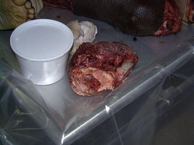 festered_dahmer_lunchbox006.jpg