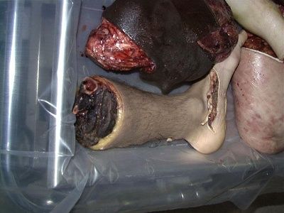 festered_dahmer_lunchbox008.jpg