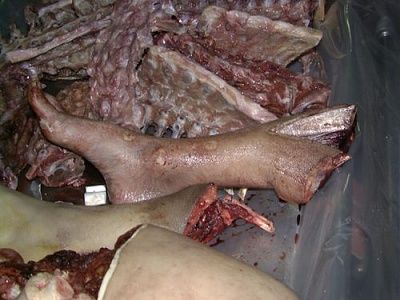 festered_dahmer_lunchbox010.jpg