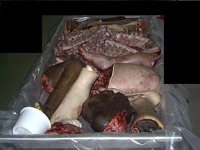 festered_dahmer_lunchbox011.jpg
