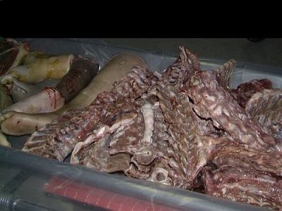 festered_dahmer_lunchbox013.jpg