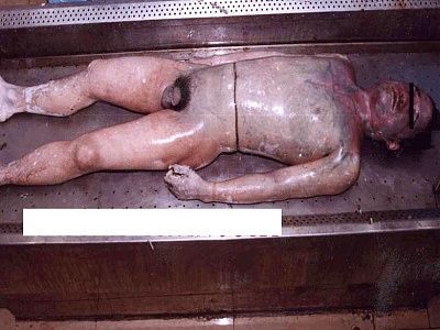 viraldeathhogtied2.jpg