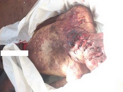 viraldeath_com_flattened_head-2147483627.jpg