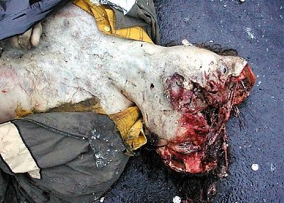 volvo_crash5.jpg