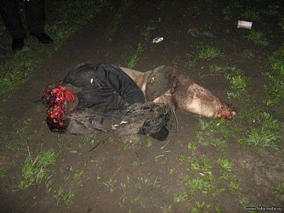 fatal_car_accidents_058.jpg