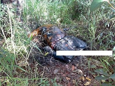 viraldeath_comselfbeheading-2.jpg