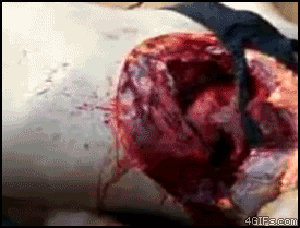 1272657150244.gif