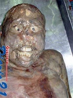 decomposition-01.jpg