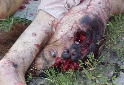accident009.jpg