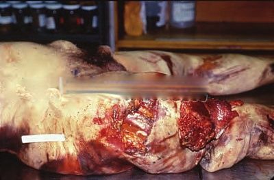 viraldeath_com_various_subway_fatalities1279.jpg