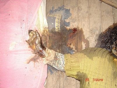3493829dsc01649.jpg
