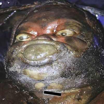 121577.thumb.jpg