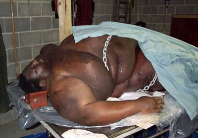 lard.jpg