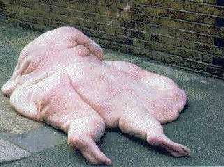 lard1.jpg