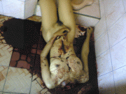 4b421978519202.gif