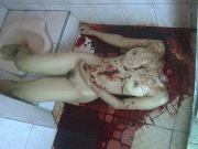 2317f278519204.gif
