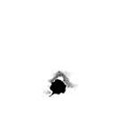 Bullethole-2.jpg
