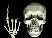 pointer skeleton.gif
