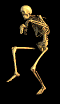 tiptoe skeleton.gif