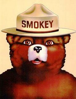 smokey-the-bearjpeg.jpg