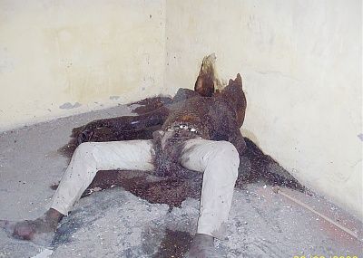 potre.jpg