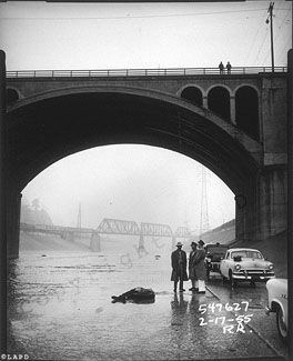 1955.jpg