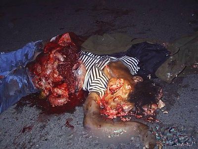 viraldeath-carcrash-roadkill-11.jpg
