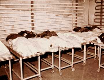 morgue2fdg.jpg