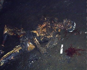 accident_37_02.jpg