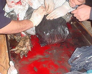 terrorism_20_04.jpg