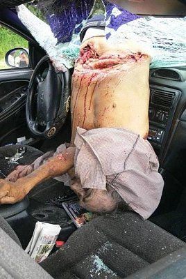 guy-dead-car-accident-windscreen-5.jpg