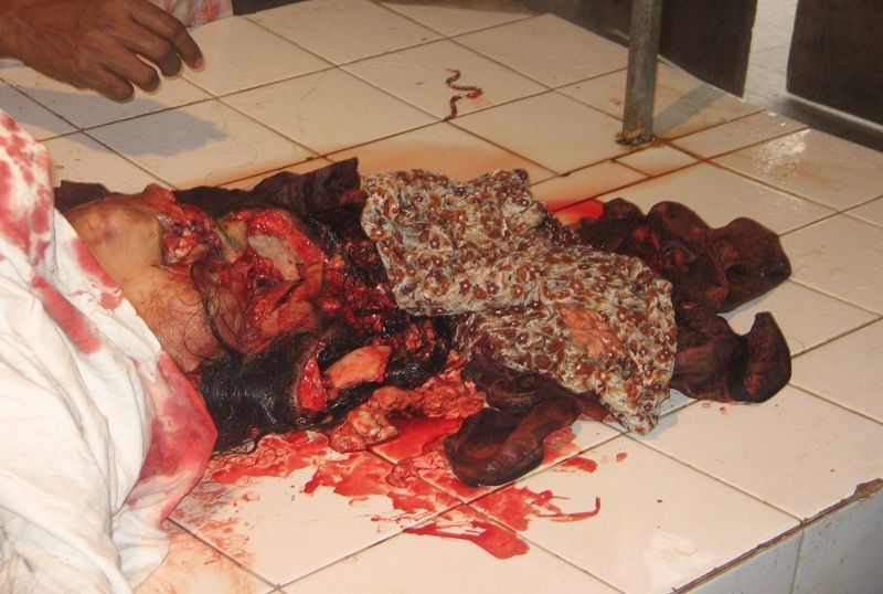 murder head smash hammer.jpg