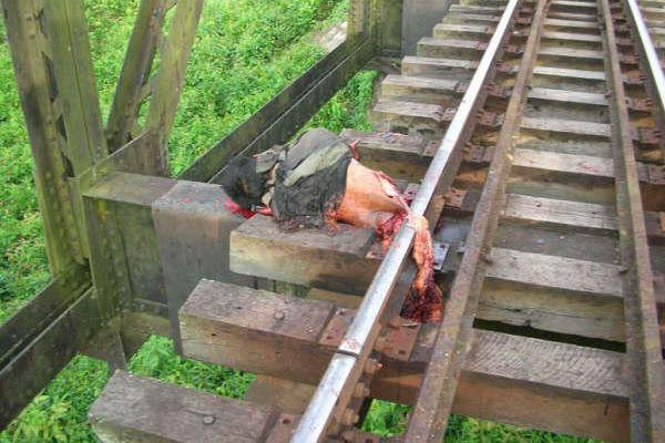 train accident 1.jpg