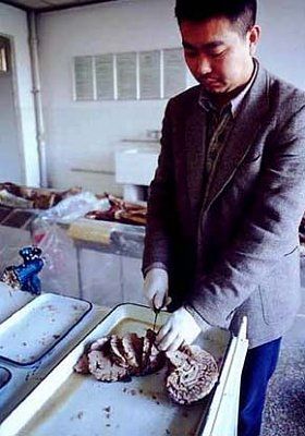 cannibalism-2002a-3.jpg