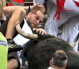 bull222.jpg