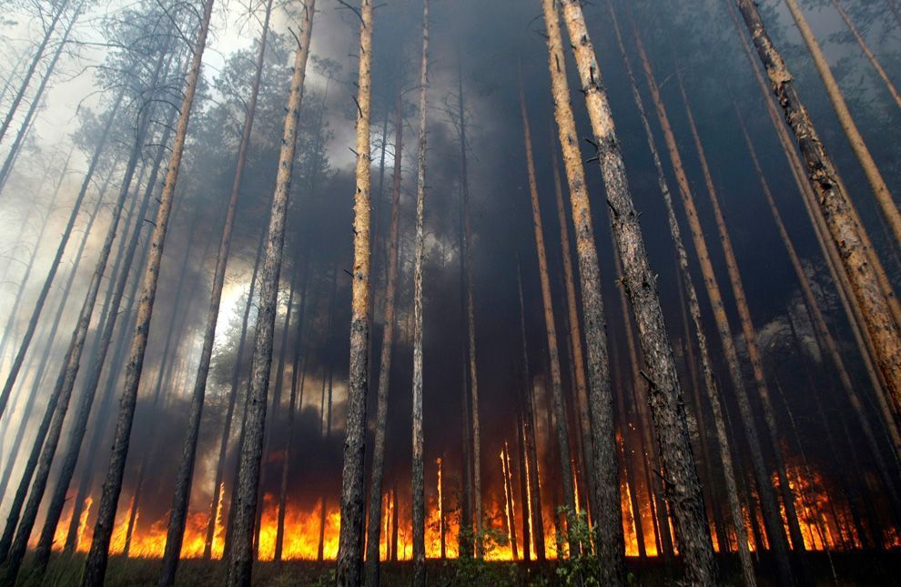 200762d1281272696-russian-wildfires-july-august-2010-r19_24521881.jpg