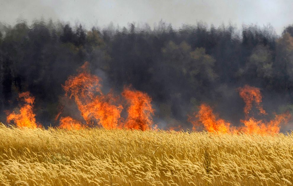 200776d1281272874-russian-wildfires-july-august-2010-r28_24509563.jpg