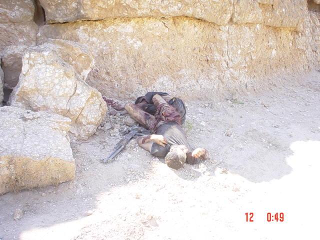 orig_iraq_445_112.jpg