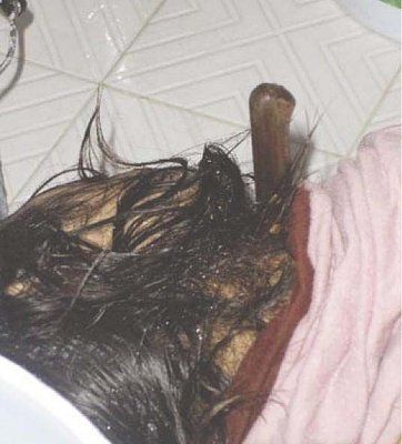 alarmai14.jpg