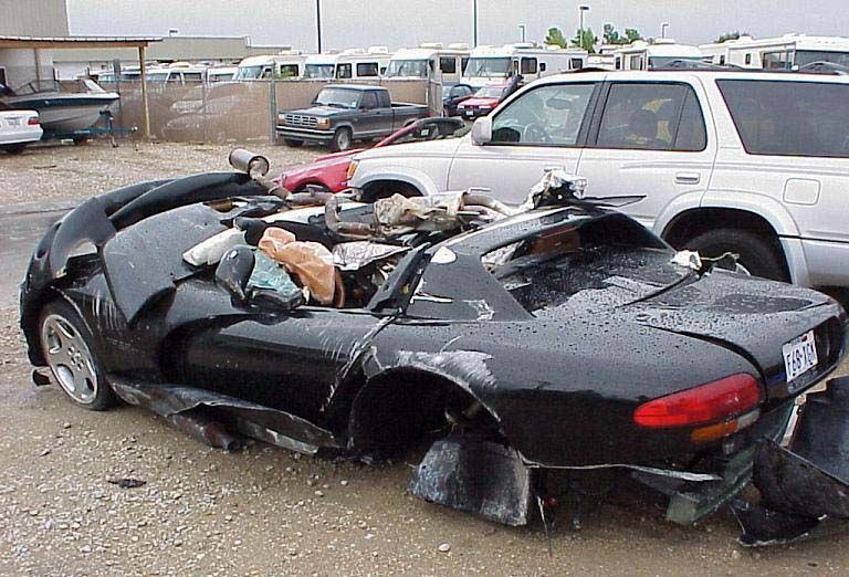 viper41.JPG