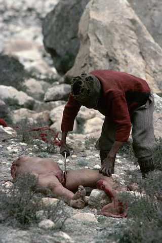 saw3.jpg
