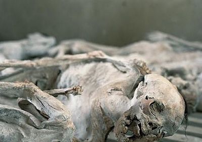 drybodies.jpg